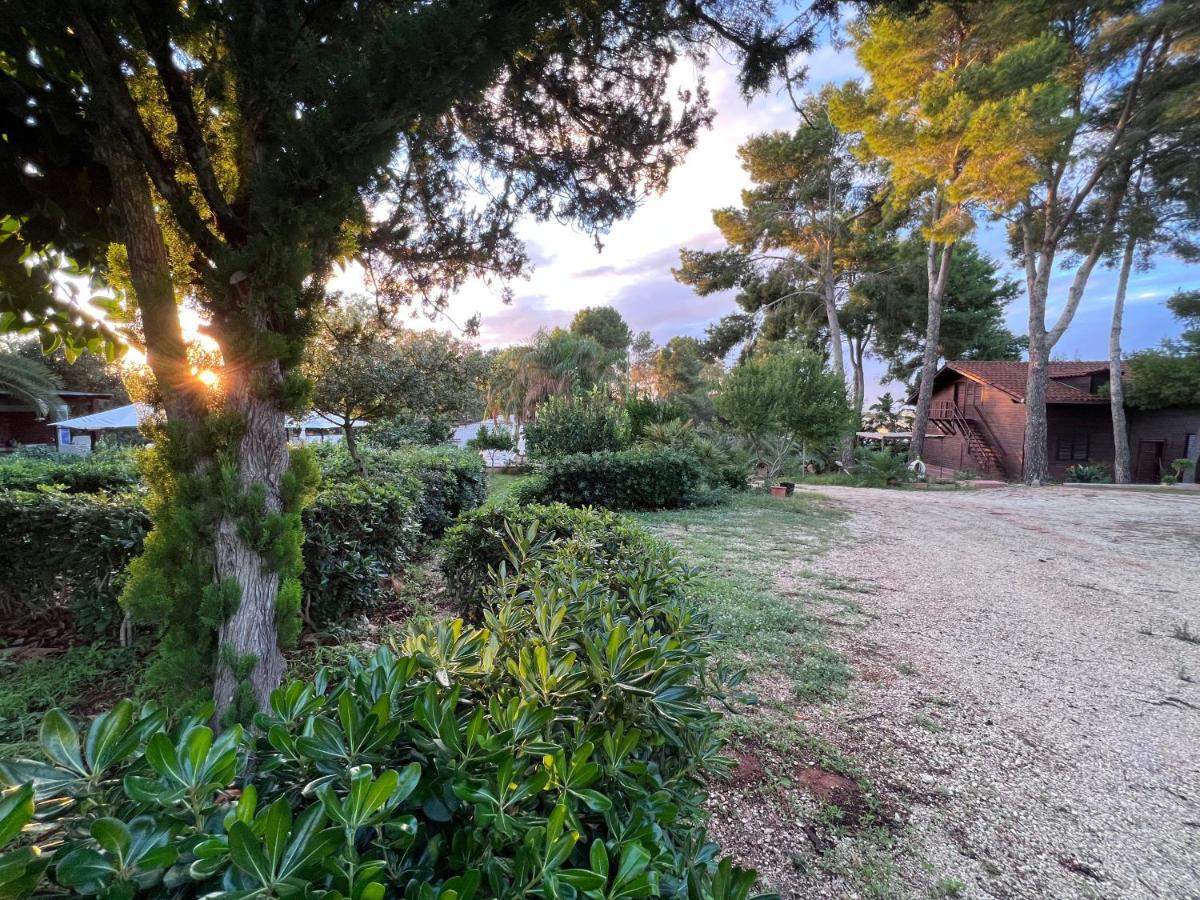 Villa Rosemary Marsala Exteriér fotografie